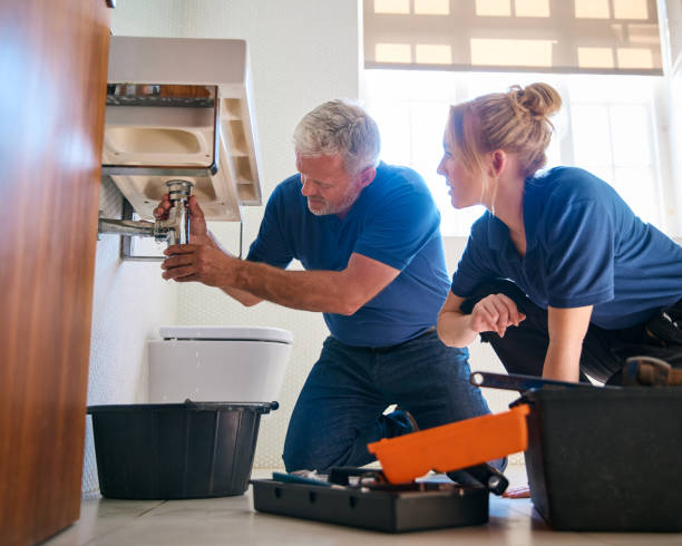 Best Drain Cleaning Services  in Terville, WA